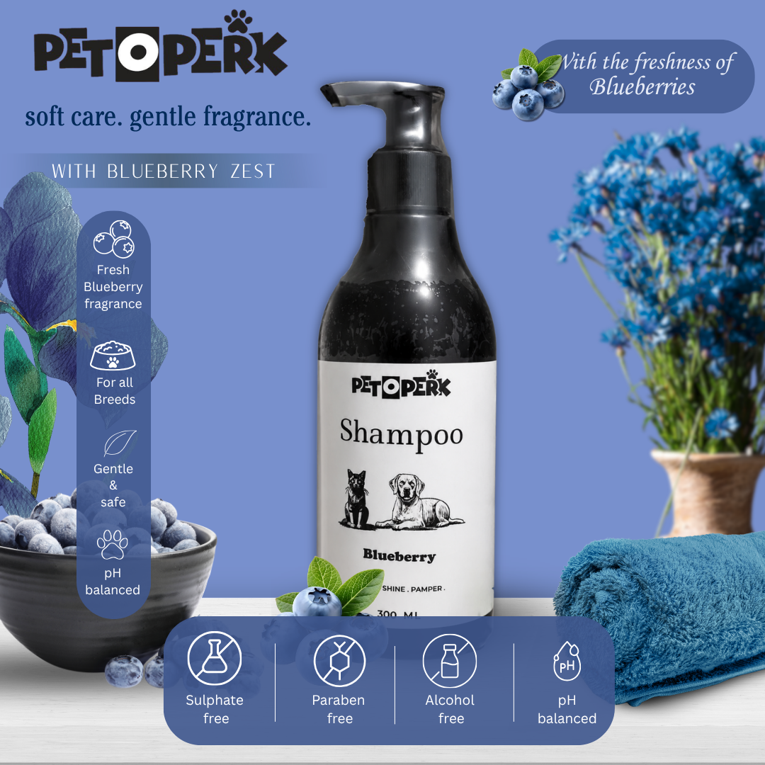 Blueberry Shampoo